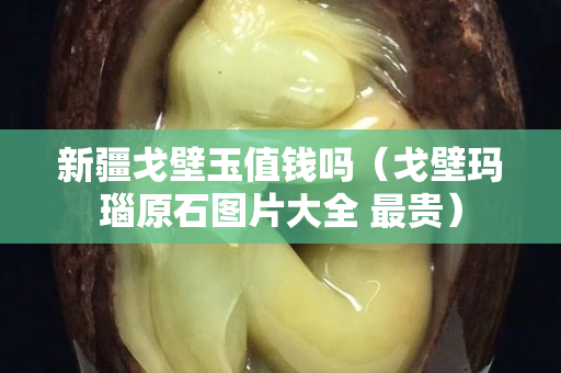 新疆戈壁玉值錢嗎（戈壁瑪瑙原石圖片大全 最貴）
