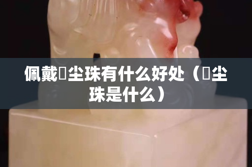 佩戴雮塵珠有什么好處（雮塵珠是什么）