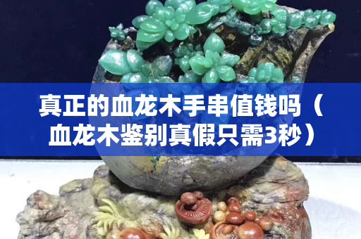 真正的血龍木手串值錢嗎（血龍木鑒別真假只需3秒）