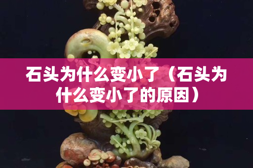 石頭為什么變小了（石頭為什么變小了的原因）