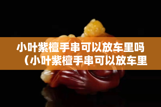 小葉紫檀手串可以放車里嗎（小葉紫檀手串可以放車里嗎）