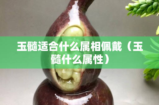 玉髓適合什么屬相佩戴（玉髓什么屬性）