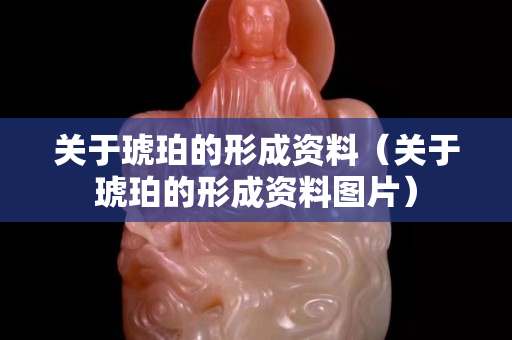 關于琥珀的形成資料（關于琥珀的形成資料圖片）