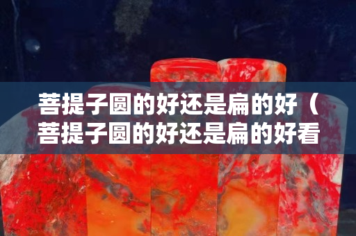菩提子圓的好還是扁的好（菩提子圓的好還是扁的好看）