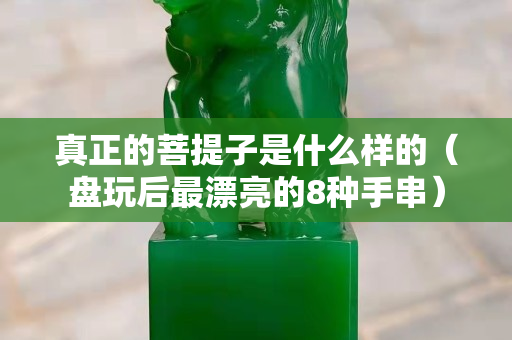 真正的菩提子是什么樣的（盤玩后最漂亮的8種手串）