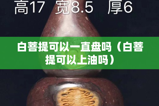 白菩提可以一直盤嗎（白菩提可以上油嗎）