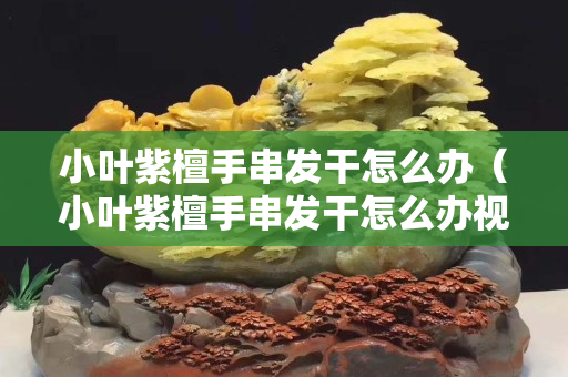 小葉紫檀手串發干怎么辦（小葉紫檀手串發干怎么辦視頻）