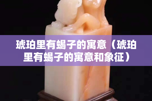 琥珀里有蝎子的寓意（琥珀里有蝎子的寓意和象征）