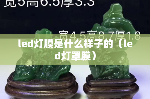 led燈膜是什么樣子的（led燈罩膜）