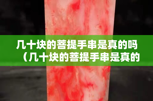 幾十塊的菩提手串是真的嗎（幾十塊的菩提手串是真的嗎嗎）