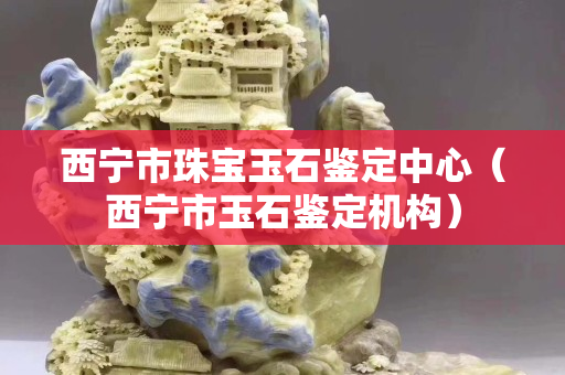 西寧市珠寶玉石鑒定中心（西寧市玉石鑒定機構(gòu)）