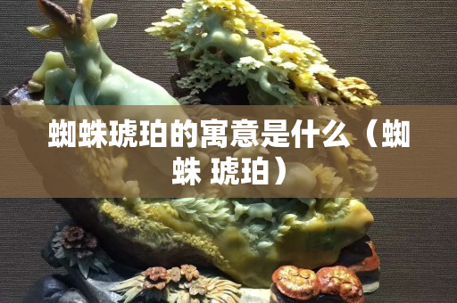 蜘蛛琥珀的寓意是什么（蜘蛛 琥珀）