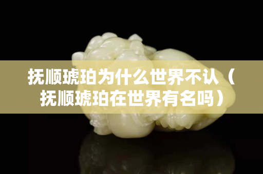 撫順琥珀為什么世界不認（撫順琥珀在世界有名嗎）