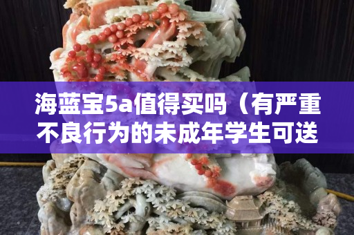 海藍寶5a值得買嗎（有嚴重不良行為的未成年學(xué)生可送工讀學(xué)校）