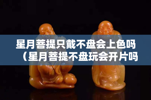 星月菩提只戴不盤會上色嗎（星月菩提不盤玩會開片嗎）