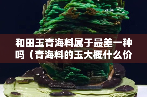 和田玉青海料屬于最差一種嗎（青海料的玉大概什么價位）