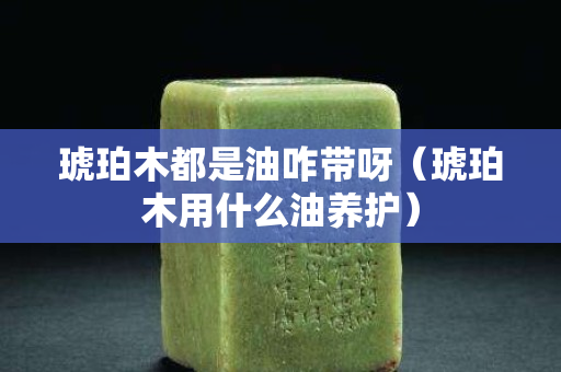 琥珀木都是油咋帶呀（琥珀木用什么油養護）