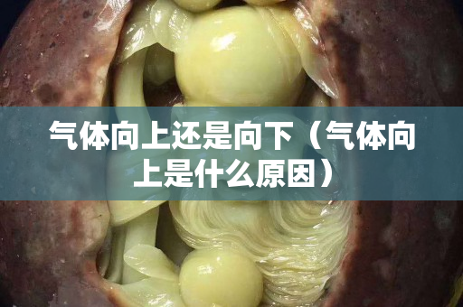 氣體向上還是向下（氣體向上是什么原因）
