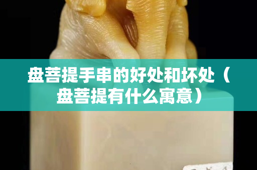 盤(pán)菩提手串的好處和壞處（盤(pán)菩提有什么寓意）