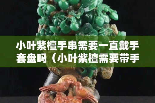 小葉紫檀手串需要一直戴手套盤嗎（小葉紫檀需要帶手套）