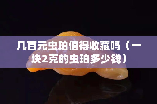 幾百元蟲珀值得收藏嗎（一塊2克的蟲珀多少錢）