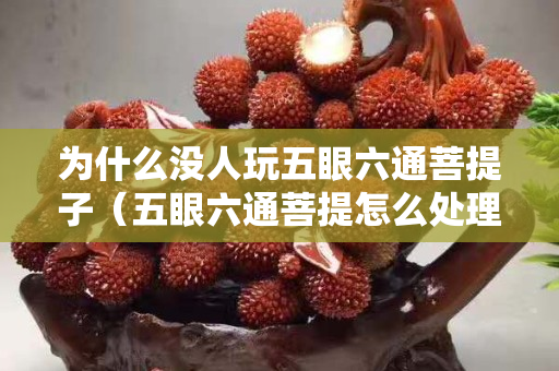 為什么沒人玩五眼六通菩提子（五眼六通菩提怎么處理）