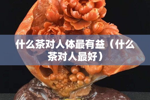 什么茶對人體最有益（什么茶對人最好）