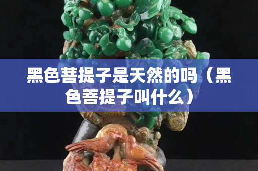 黑色菩提子是天然的嗎（黑色菩提子叫什么）