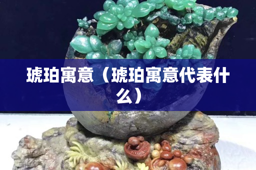 琥珀寓意（琥珀寓意代表什么）