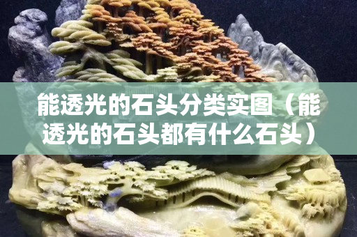 能透光的石頭分類實(shí)圖（能透光的石頭都有什么石頭）