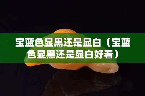 寶藍(lán)色顯黑還是顯白（寶藍(lán)色顯黑還是顯白好看）