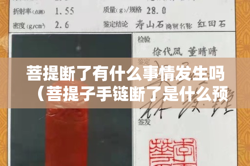 菩提斷了有什么事情發生嗎（菩提子手鏈斷了是什么預兆）