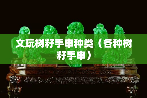 文玩樹籽手串種類（各種樹籽手串）
