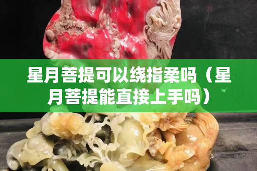 星月菩提可以繞指柔嗎（星月菩提能直接上手嗎）