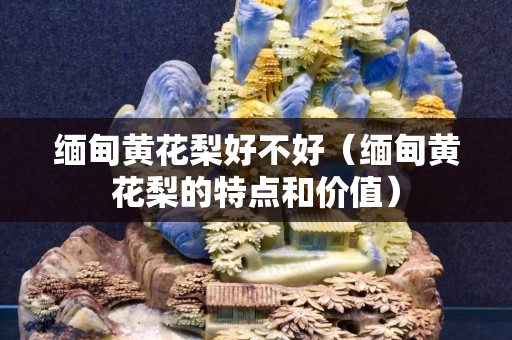 緬甸黃花梨好不好（緬甸黃花梨的特點和價值）