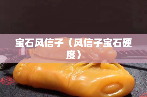 寶石風信子（風信子寶石硬度）