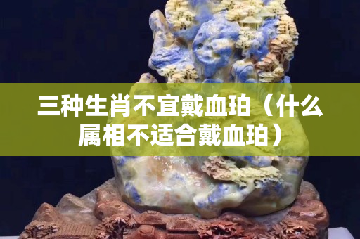 三種生肖不宜戴血珀（什么屬相不適合戴血珀）