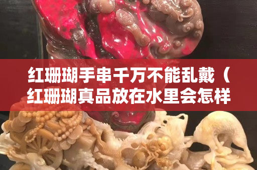 紅珊瑚手串千萬不能亂戴（紅珊瑚真品放在水里會怎樣）