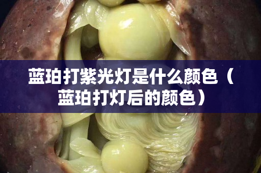 藍珀打紫光燈是什么顏色（藍珀打燈后的顏色）