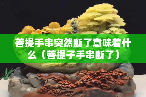 菩提手串突然斷了意味著什么（菩提子手串?dāng)嗔耍? title=