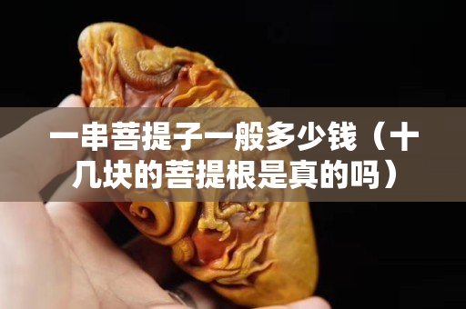 一串菩提子一般多少錢（十幾塊的菩提根是真的嗎）