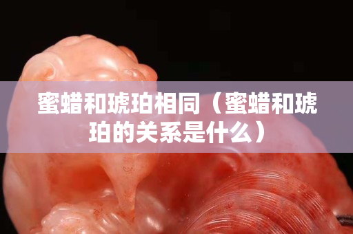 蜜蠟和琥珀相同（蜜蠟和琥珀的關系是什么）