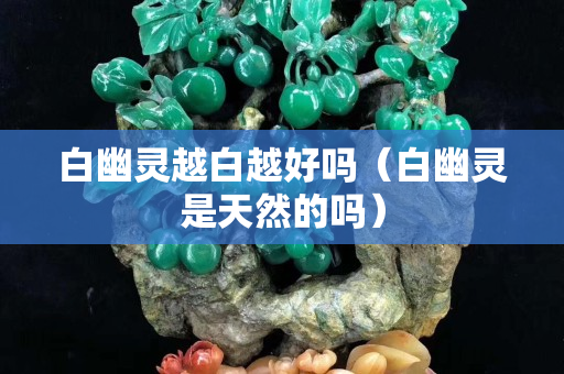 白幽靈越白越好嗎（白幽靈是天然的嗎）