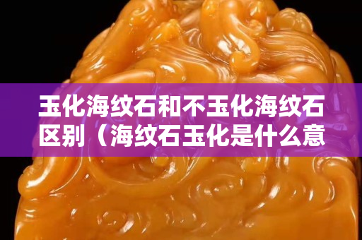 玉化海紋石和不玉化海紋石區(qū)別（海紋石玉化是什么意思）