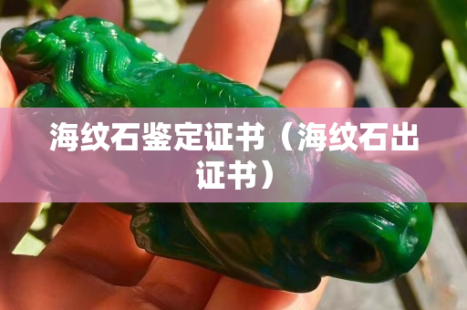 海紋石鑒定證書（海紋石出證書）