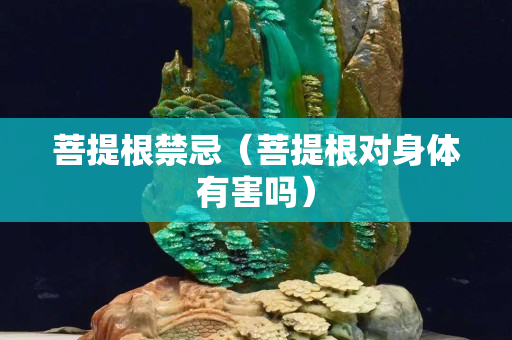 菩提根禁忌（菩提根對身體有害嗎）