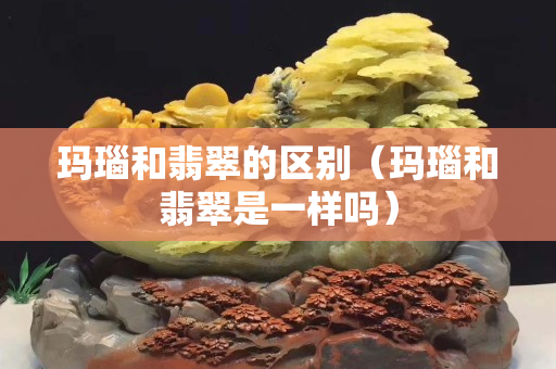 瑪瑙和翡翠的區(qū)別（瑪瑙和翡翠是一樣嗎）