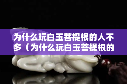 為什么玩白玉菩提根的人不多（為什么玩白玉菩提根的人不多呢）