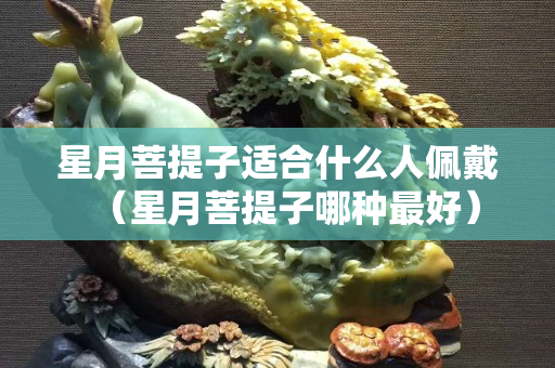 星月菩提子適合什么人佩戴（星月菩提子哪種最好）