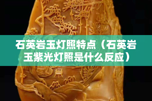石英巖玉燈照特點（石英巖玉紫光燈照是什么反應）